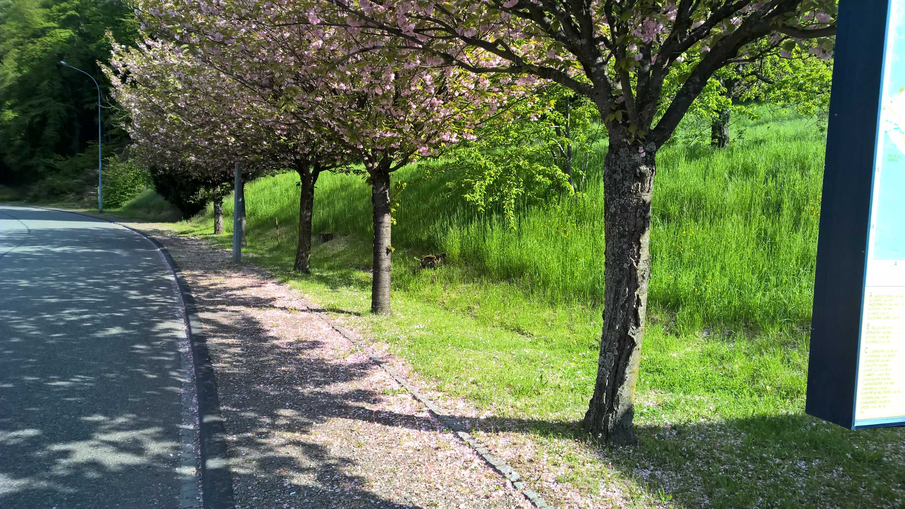 WP_20150430_09_54_10_Pro_optimized