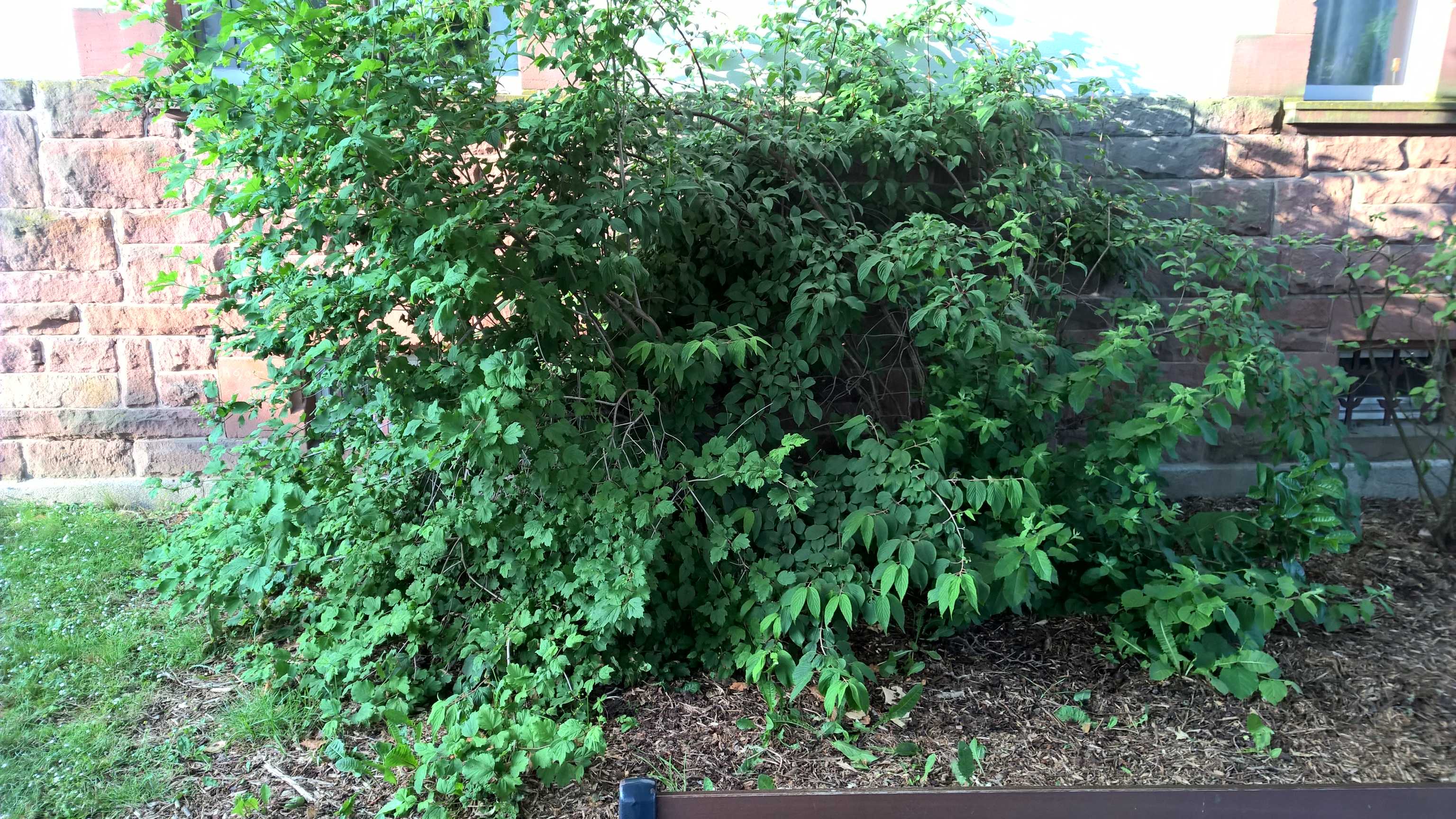 WP_20150616_07_19_57_Pro_optimized