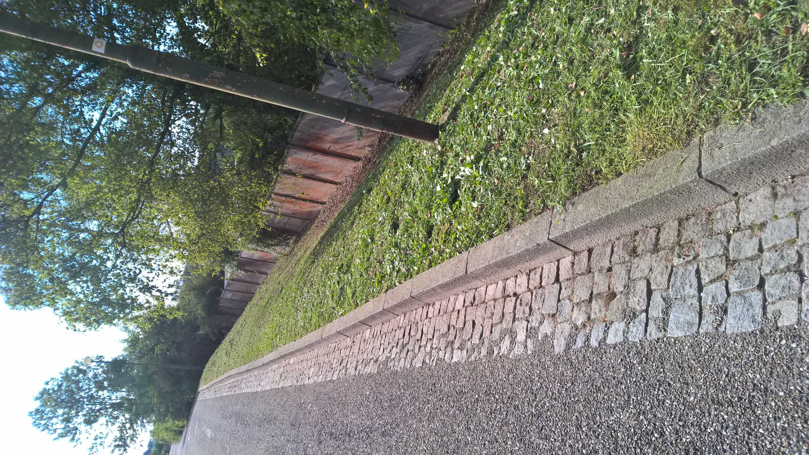 WP_20150904_10_02_10_Pro_optimized